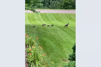 3177 Lakecrest Road NE, Alexandria, MN 56308 - Photo 5