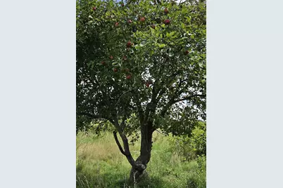 13431 160th Avenue, Foreston, MN 56330 - Photo 21