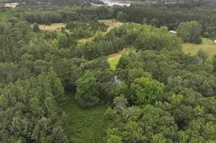 21920 County 2, Nevis, MN 56467 - Photo 31