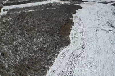 Tbd County Road 14, Sebeka, MN 56477 - Photo 15