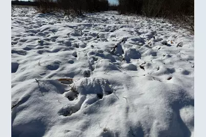 Tbd County Road 14, Sebeka, MN 56477 - Photo 45