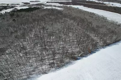 Tbd County Road 14, Sebeka, MN 56477 - Photo 11