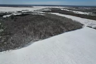 Tbd County Road 14, Sebeka, MN 56477 - Photo 1