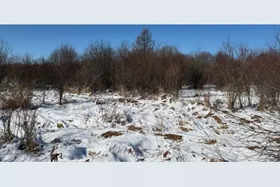 Tbd County Road 14, Sebeka, MN 56477 - Photo 47