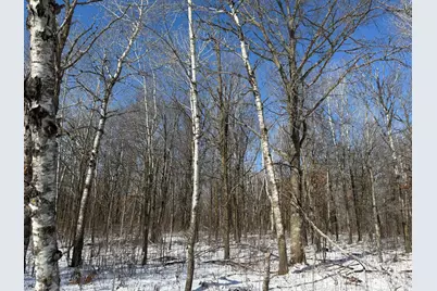 Tbd County Road 14, Sebeka, MN 56477 - Photo 57