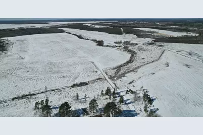 Tbd County Road 14, Sebeka, MN 56477 - Photo 5