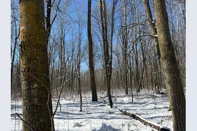 Tbd County Road 14, Sebeka, MN 56477 - Photo 59