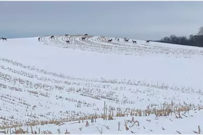 28983 320th Ave Way, Red Wing, MN 55066 - Photo 131