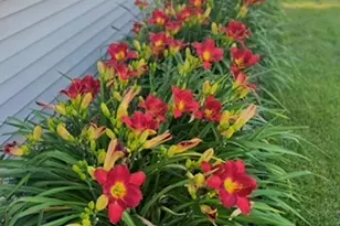 13880 Clare Downs Way, Rosemount, MN 55068 - Photo 7