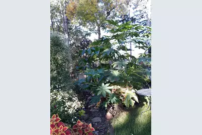 5502 Regis Trail NE, Fridley, MN 55432 - Photo 53