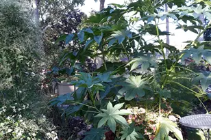 5502 Regis Trail NE, Fridley, MN 55432 - Photo 53