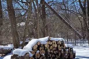 4918 West Ln, Minnetonka, MN 55345 - Photo 7