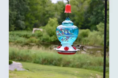 31346 Naples Street NE, Cambridge, MN 55008 - Photo 47