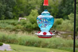 31346 Naples St NE, Cambridge, MN 55008 - Photo 47