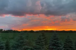 31346 Naples St NE, Cambridge, MN 55008 - Photo 43