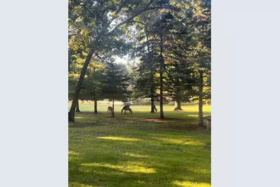 13160 176th Street, Wadena, MN 56482 - Photo 5