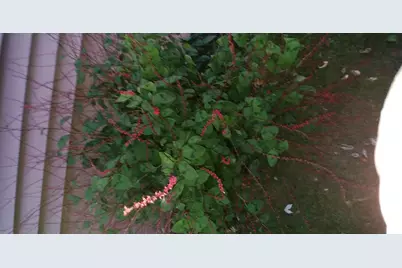 1460 Hoyt Avenue E, Saint Paul, MN 55106 - Photo 31