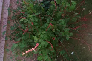 1460 Hoyt Ave E, Saint Paul, MN 55106 - Photo 31