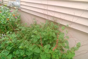 1460 Hoyt Ave E, Saint Paul, MN 55106 - Photo 29