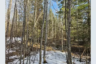 Tbd Seaberg Lane, Bagley, MN 56621 - Photo 13