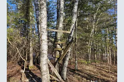 Tbd Seaberg Lane, Bagley, MN 56621 - Photo 15