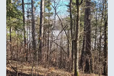 Tbd Seaberg Lane, Bagley, MN 56621 - Photo 17