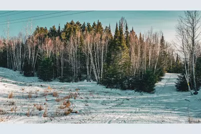 Tbd Parcel 17 Hwy 115, Tower, MN 55790 - Photo 1