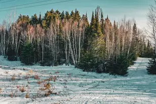 Tbd Parcel 17 Hwy 115, Tower, MN 55790 - Photo 1