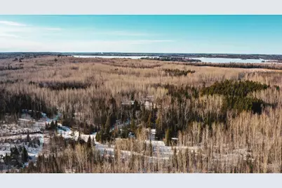 Tbd Parcel 17 Hwy 115, Tower, MN 55790 - Photo 3
