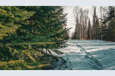 Tbd Parcel 17 Hwy 115, Tower, MN 55790 - Photo 7