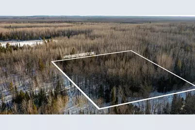 Tbd Parcel S Thomas Road, Tower, MN 55790 - Photo 1