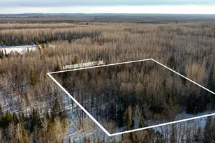 Tbd Parcel S Thomas Rd, Tower, MN 55790 - Photo 1