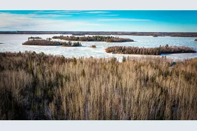 Tbd Parcel S Thomas Road, Tower, MN 55790 - Photo 11