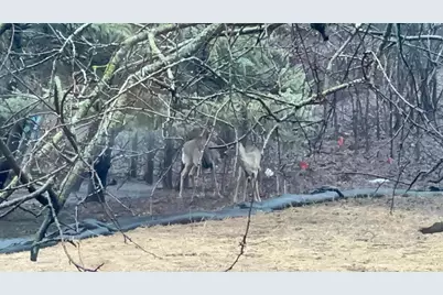 14759 McGinty Road W, Minnetonka, MN 55391 - Photo 31