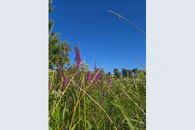 29151 Pleasant Lake Road, Underwood, MN 56586 - Photo 9