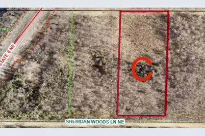 Tbd Sheridan Woods Lane NE, Outing, MN 56662 - Photo 7