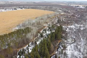 32738 US-71, Menahga, MN 56464 - Photo 53