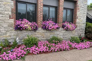 311 Pleasant Ave, Saint Paul, MN 55102 - Photo 35