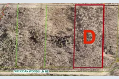 Xxxx Sheridan Woods Lane NE, Outing, MN 56662 - Photo 5
