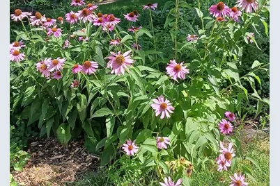 2611 Parkview Boulevard, Robbinsdale, MN 55422 - Photo 31