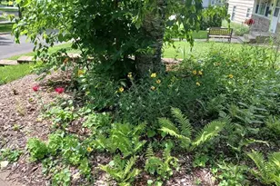 2611 Parkview Blvd, Robbinsdale, MN 55422 - Photo 33