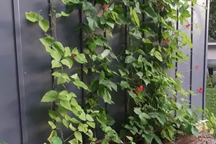 2611 Parkview Blvd, Robbinsdale, MN 55422 - Photo 29