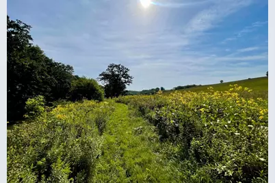 Tbd County 8, Spring Grove, MN 55954 - Photo 47