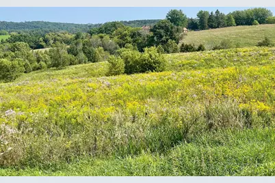 Tbd County 8, Spring Grove, MN 55954 - Photo 27