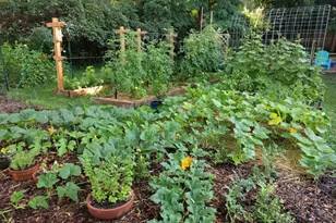 316 Bates Ave, Saint Paul, MN 55106 - Photo 31