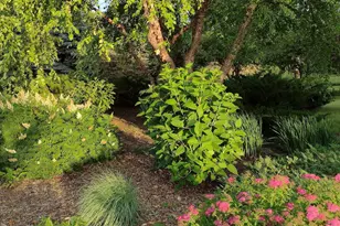 3680 Arlington Ln SE, Rochester, MN 55904 - Photo 65