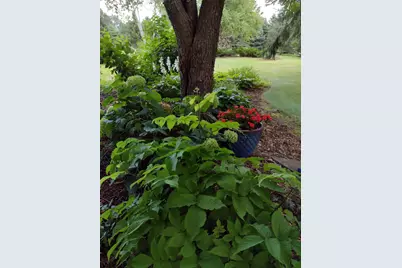 3680 Arlington Lane SE, Rochester, MN 55904 - Photo 65