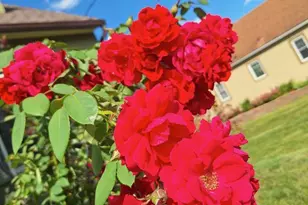 613 11th St SE, Rochester, MN 55904 - Photo 41