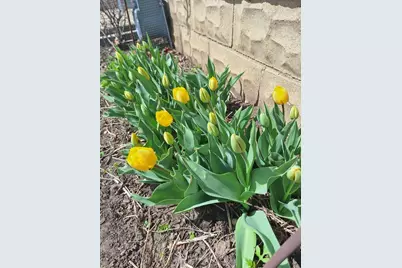 613 11th Street SE, Rochester, MN 55904 - Photo 37