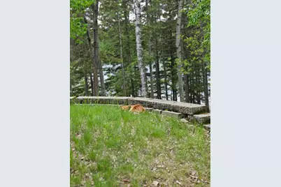 35366 E Boot Lake Road, Park Rapids, MN 56470 - Photo 13